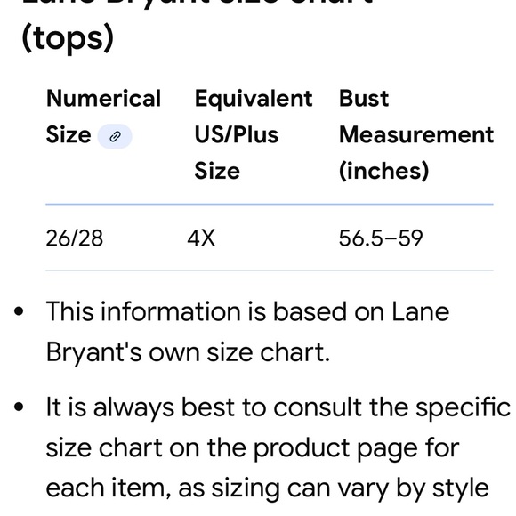 Lane Bryant size 26/28 (4X) Rich Brown Short Sleeve Tee. NWT! - Picture 6 of 6